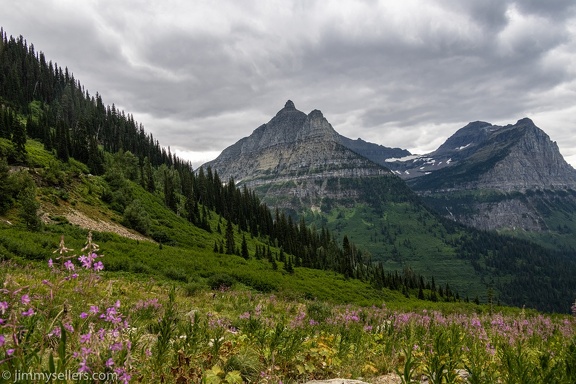 2021-08-Glacier-Roadtrip-2348-HDR