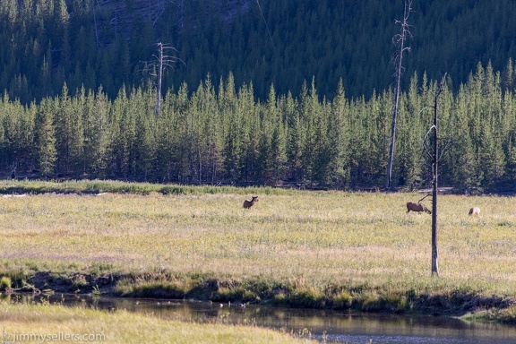 2021-08-Glacier-Roadtrip-2561