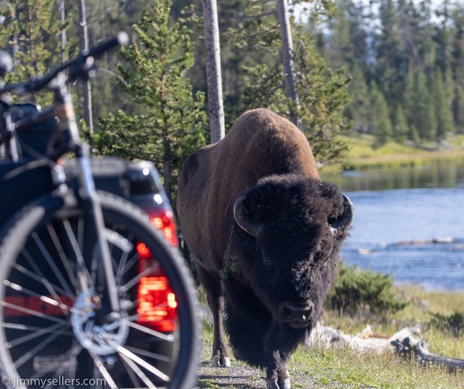 2021-08-Glacier-Roadtrip-2563