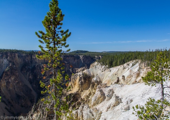 2020-08-Yellowstone-trip-west-123