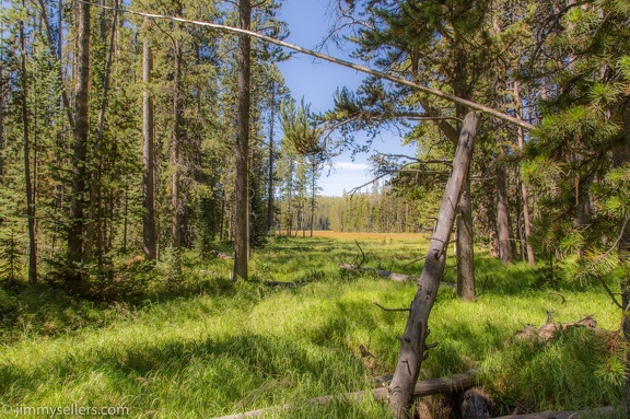 2020-08-Yellowstone-trip-west-130-HDR