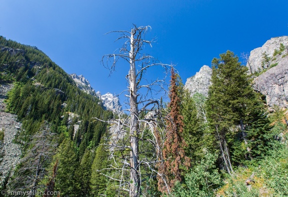 2020-08-Yellowstone-trip-west-271