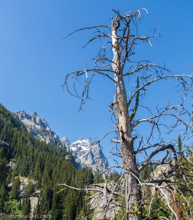 2020-08-Yellowstone-trip-west-272