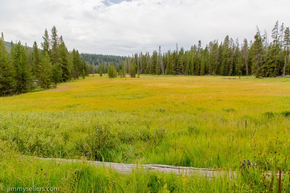 2020-08-Yellowstone-trip-west-365-HDR