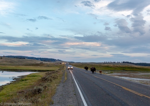 2020-08-Yellowstone-trip-west-415