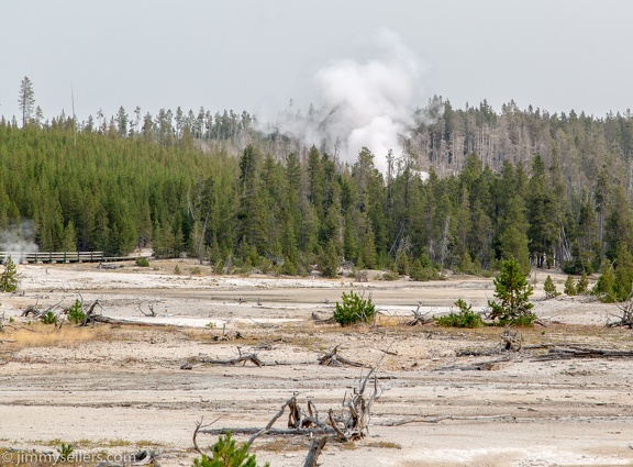 2020-08-Yellowstone-trip-west-648