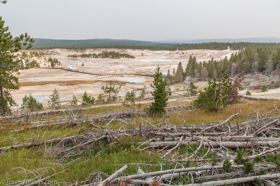 2020-08-Yellowstone-trip-west-653-HDR