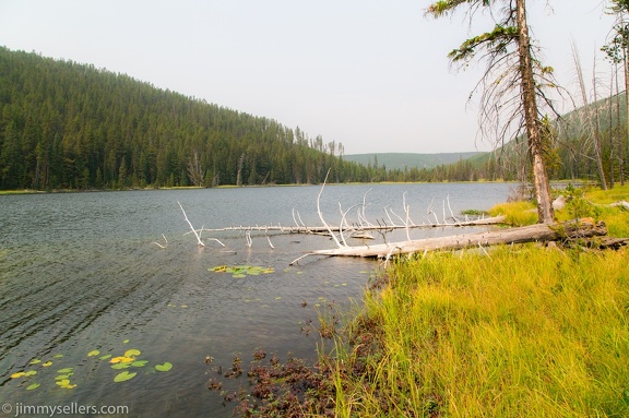 2020-08-Yellowstone-trip-west-659