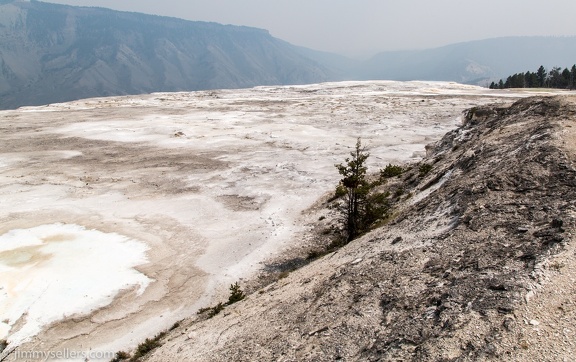 2020-08-Yellowstone-trip-west-702