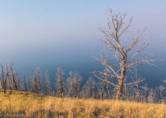 2020-08-Yellowstone-trip-west-781-HDR