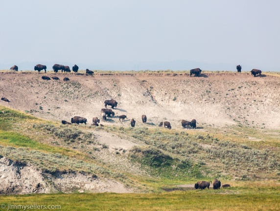 2020-08-Yellowstone-trip-west-783