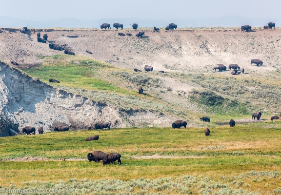 2020-08-Yellowstone-trip-west-789