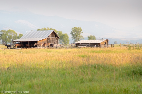 2020-08-Yellowstone-trip-west-831