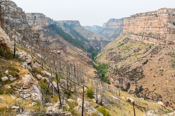 2020-08-Yellowstone-trip-west-1107