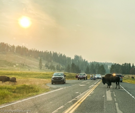 2020-08-Yellowstone-trip-west-iphone-3195