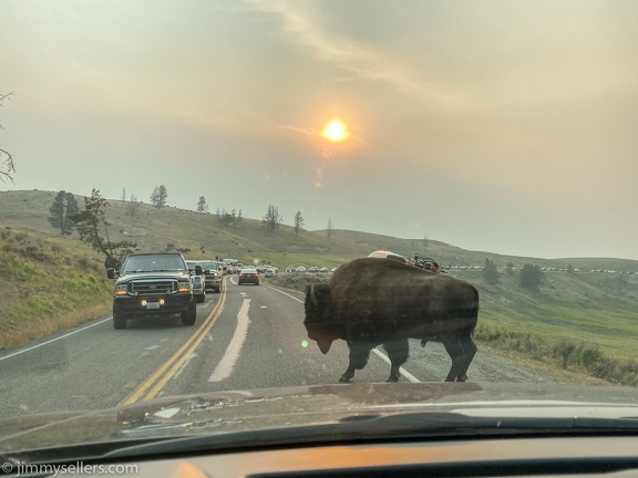 2020-08-Yellowstone-trip-west-iphone-3197