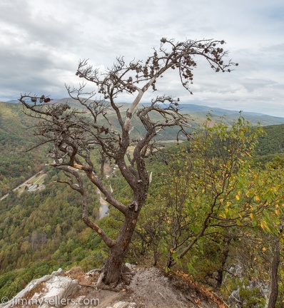 2019-10-05-Nelson-Seneca-Rock-WV-209