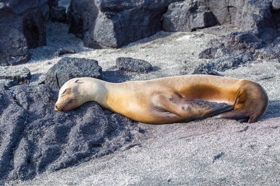 2019-08-Ecuador-Peru-358