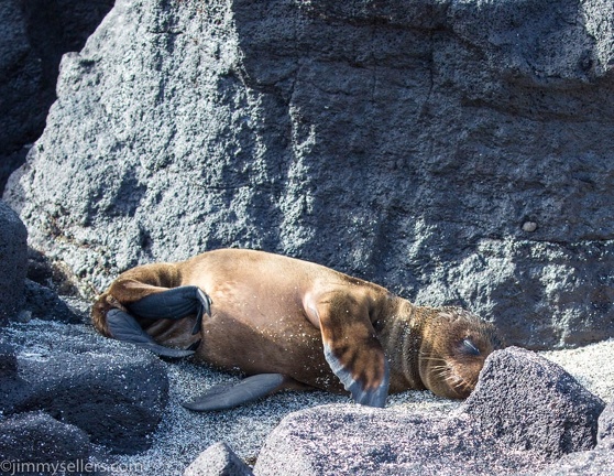 2019-08-Ecuador-Peru-379