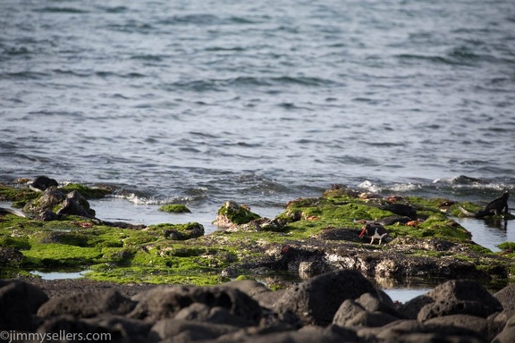 2019-08-Ecuador-Peru-457