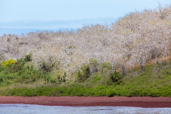 2019-08-Ecuador-Peru-755