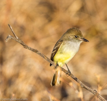 2019-08-Ecuador-Peru-832