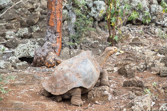 2019-08-Ecuador-Peru-930