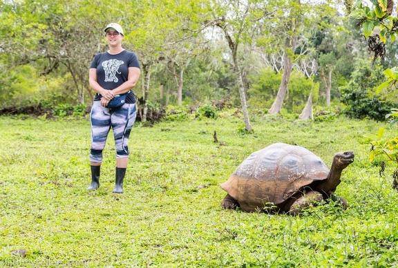 2019-08-Ecuador-Peru-960