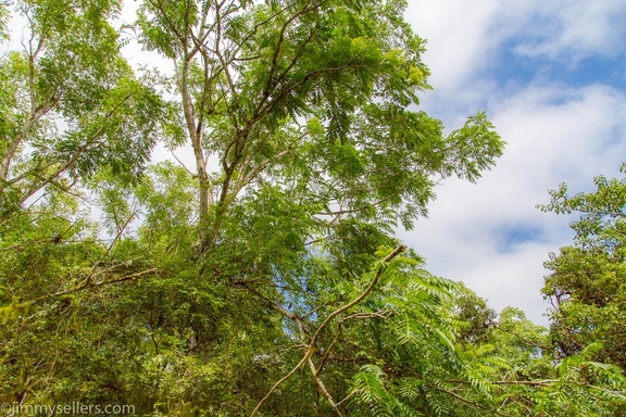 2019-08-Ecuador-Peru-966-HDR