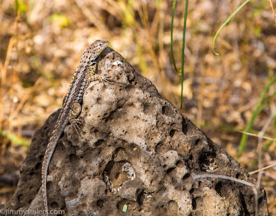 2019-08-Ecuador-Peru-1105