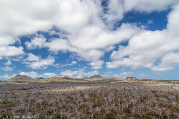 2019-08-Ecuador-Peru-1127