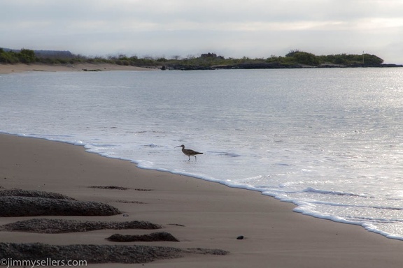 2019-08-Ecuador-Peru-1184