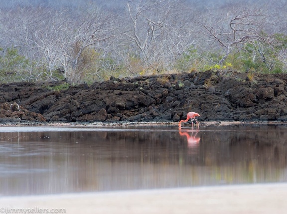 2019-08-Ecuador-Peru-1216