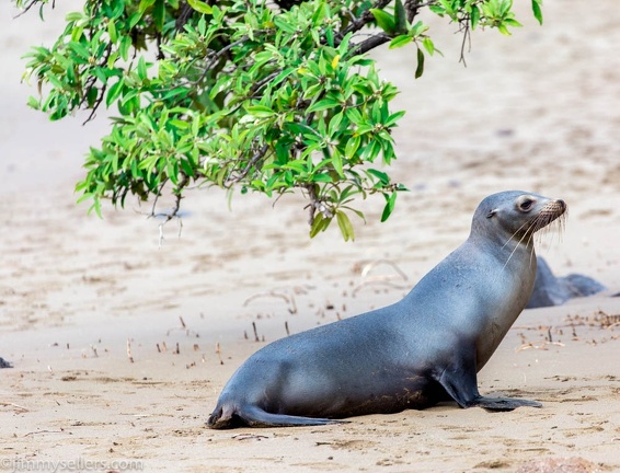 2019-08-Ecuador-Peru-1219