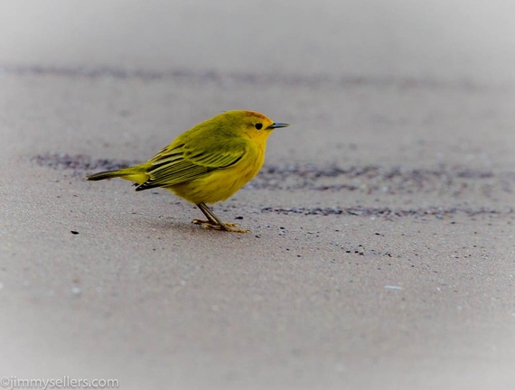 2019-08-Ecuador-Peru-1228