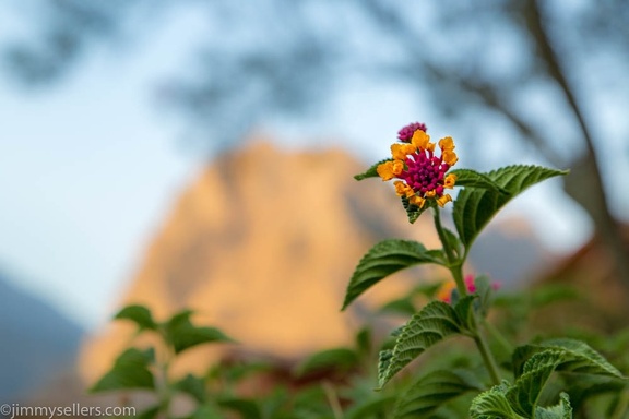 2019-08-Ecuador-Peru-1462