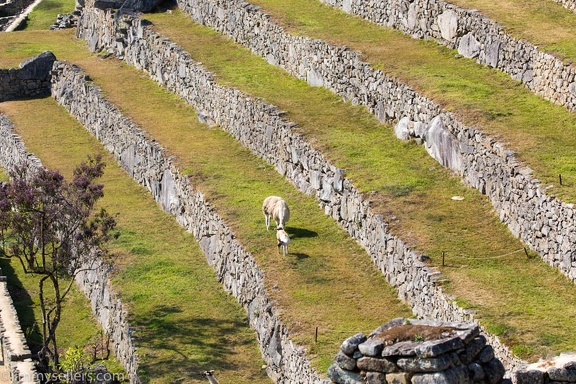 2019-08-Ecuador-Peru-1604