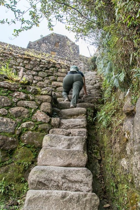 2019-08-Ecuador-Peru-1680