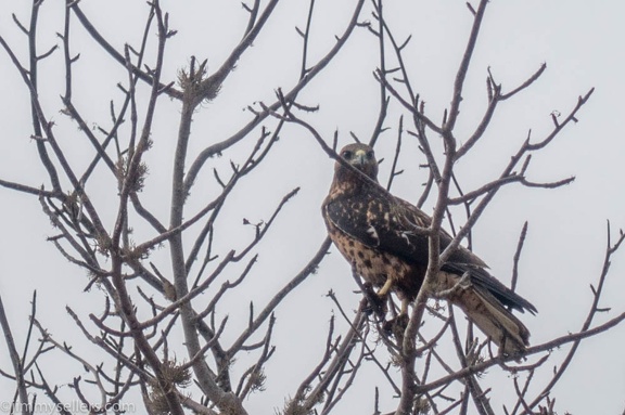 2019-08-Ecuador-Peru-1803