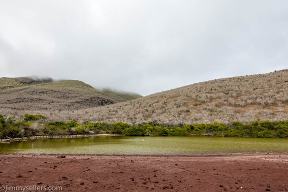 2019-08-Ecuador-Peru-1805