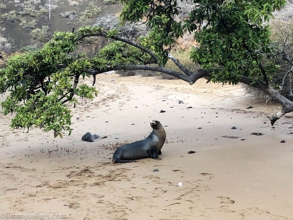 2019-08-Ecuador-Peru-Tanyas-iphone-2281