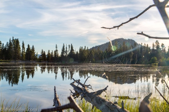 2019-07-Rocky-Mountain-National-Park-32