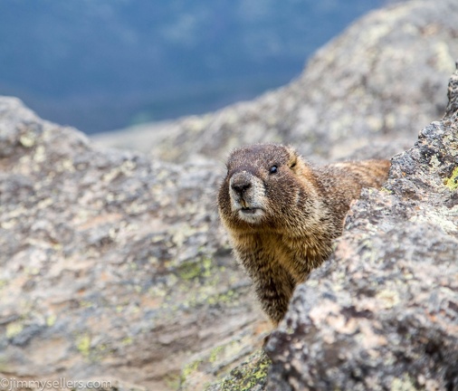 2019-07-Rocky-Mountain-National-Park-563