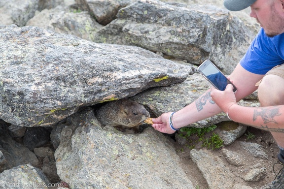 2019-07-Rocky-Mountain-National-Park-576