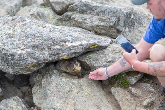 2019-07-Rocky-Mountain-National-Park-577