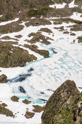 2019-07-Rocky-Mountain-National-Park-581