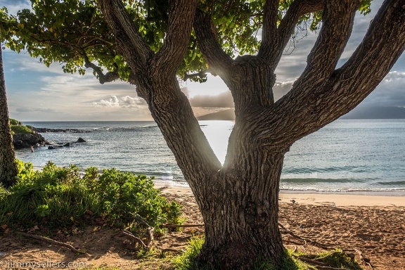 2018-06-Hawaii-10