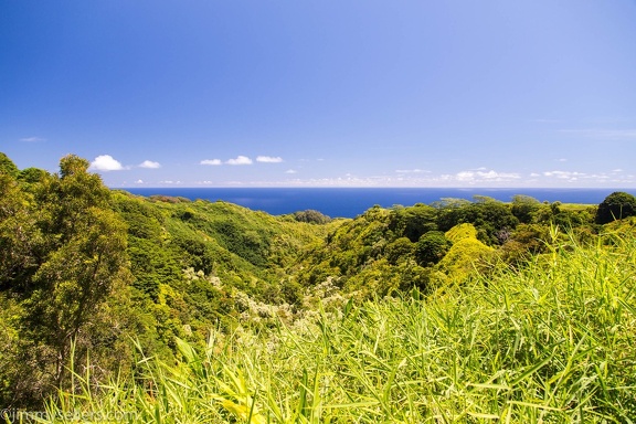 2018-06-Hawaii-19