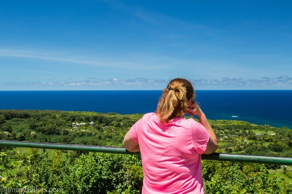 2018-06-Hawaii-28