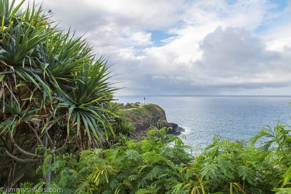 2018-06-Hawaii-37